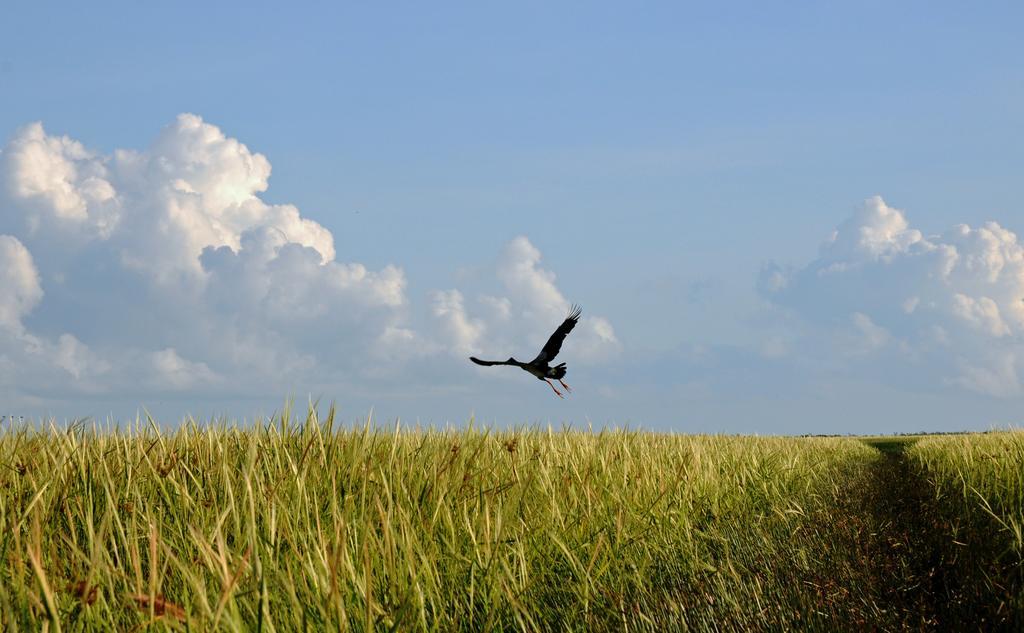 Bamurru Plains Point Stuart Zewnętrze zdjęcie