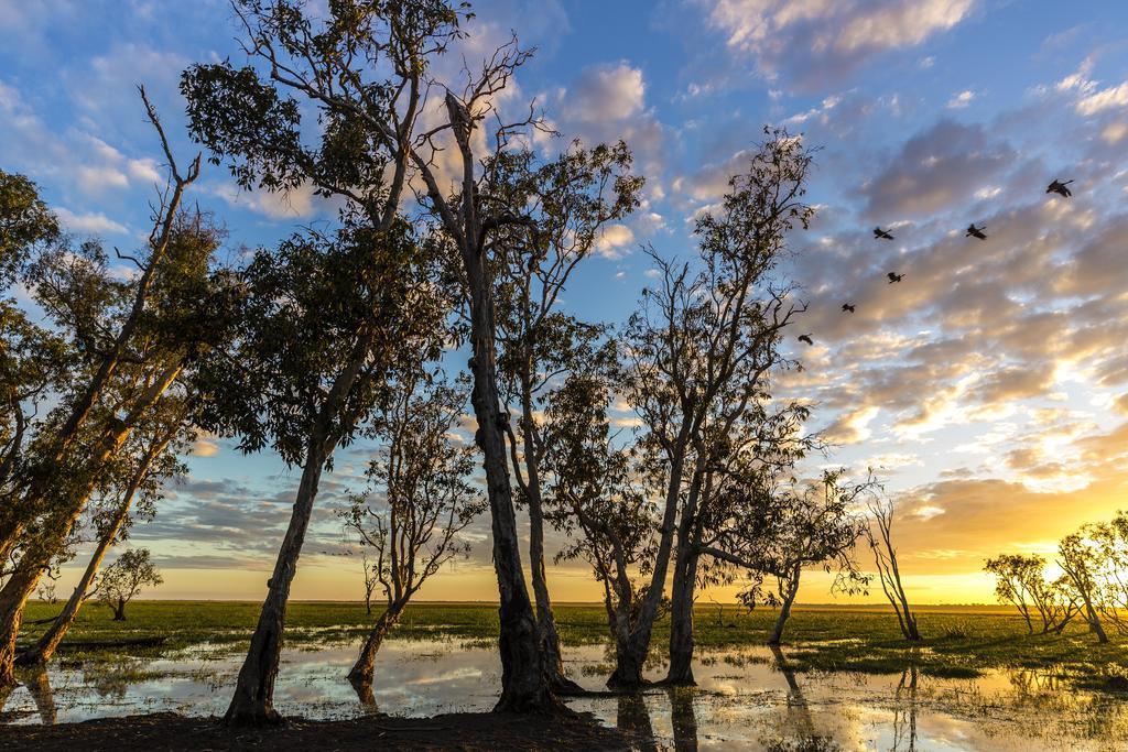 Bamurru Plains Point Stuart Zewnętrze zdjęcie