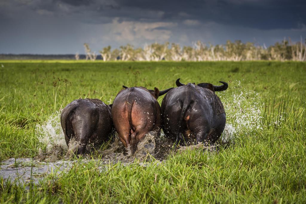 Bamurru Plains Point Stuart Zewnętrze zdjęcie